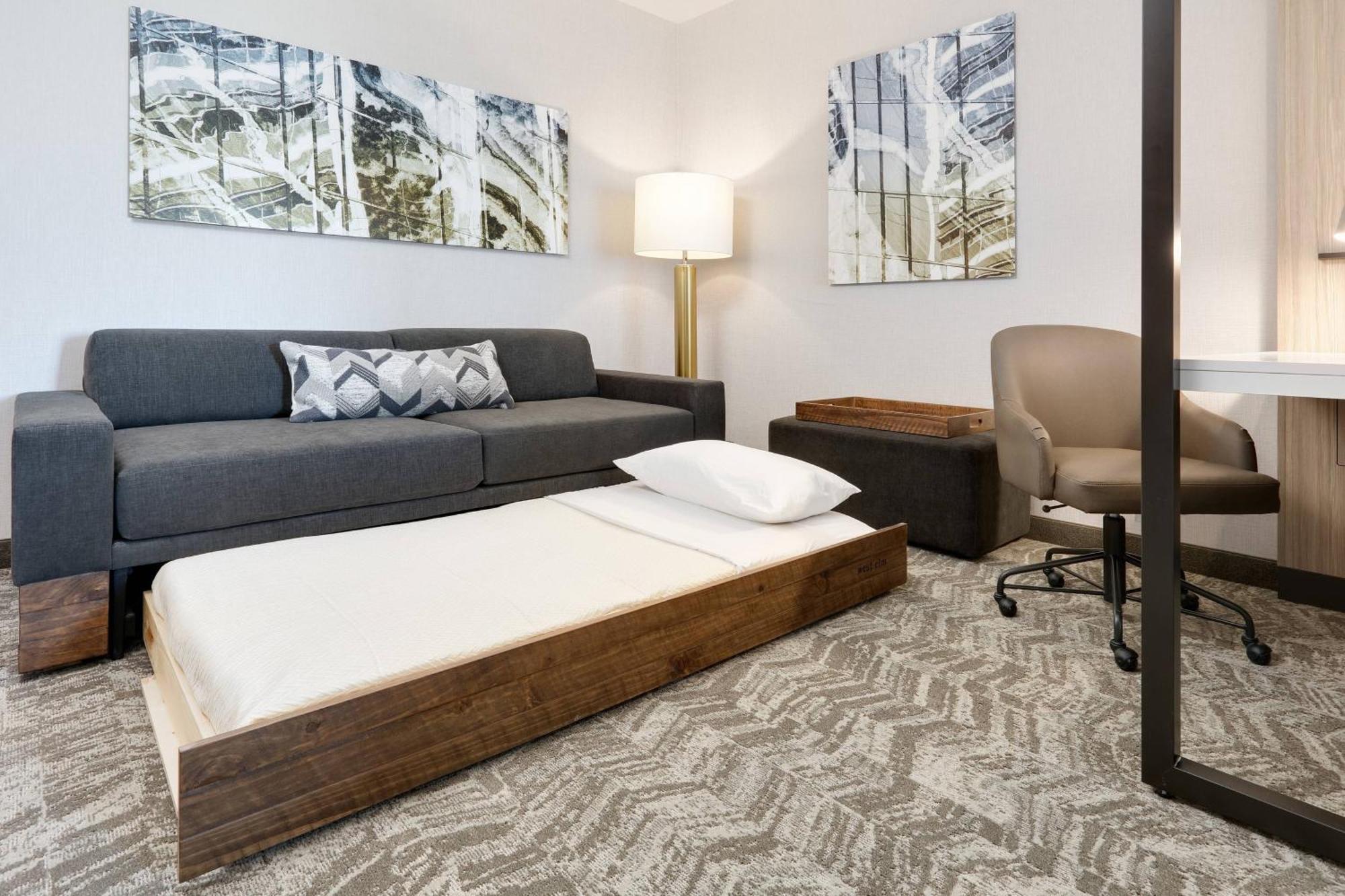 Springhill Suites By Marriott Dallas Mansfield Luaran gambar